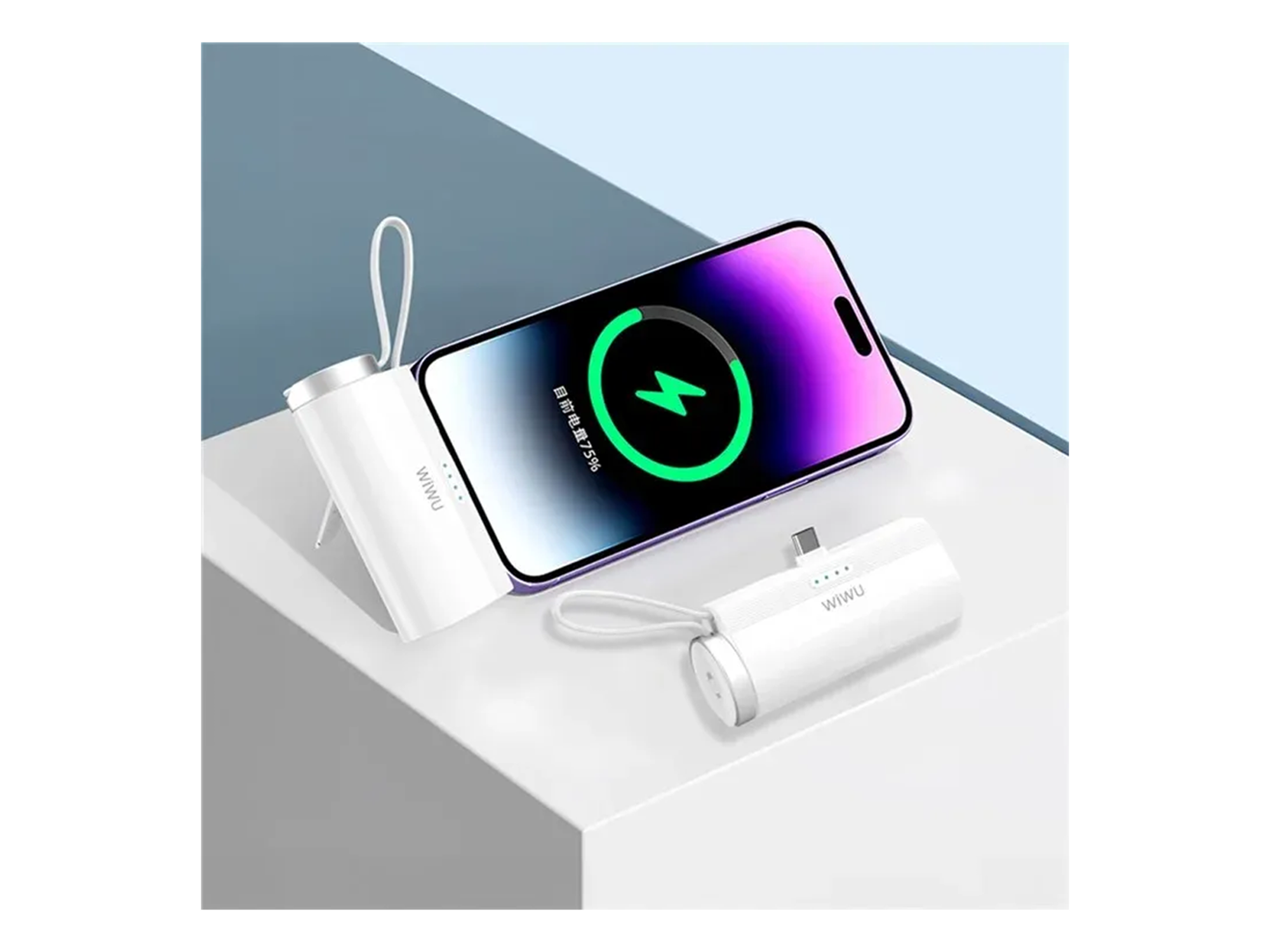 WiWU Wi-W026 Capsule 2 in 1 Power Bank 5000mAh - Best Prices