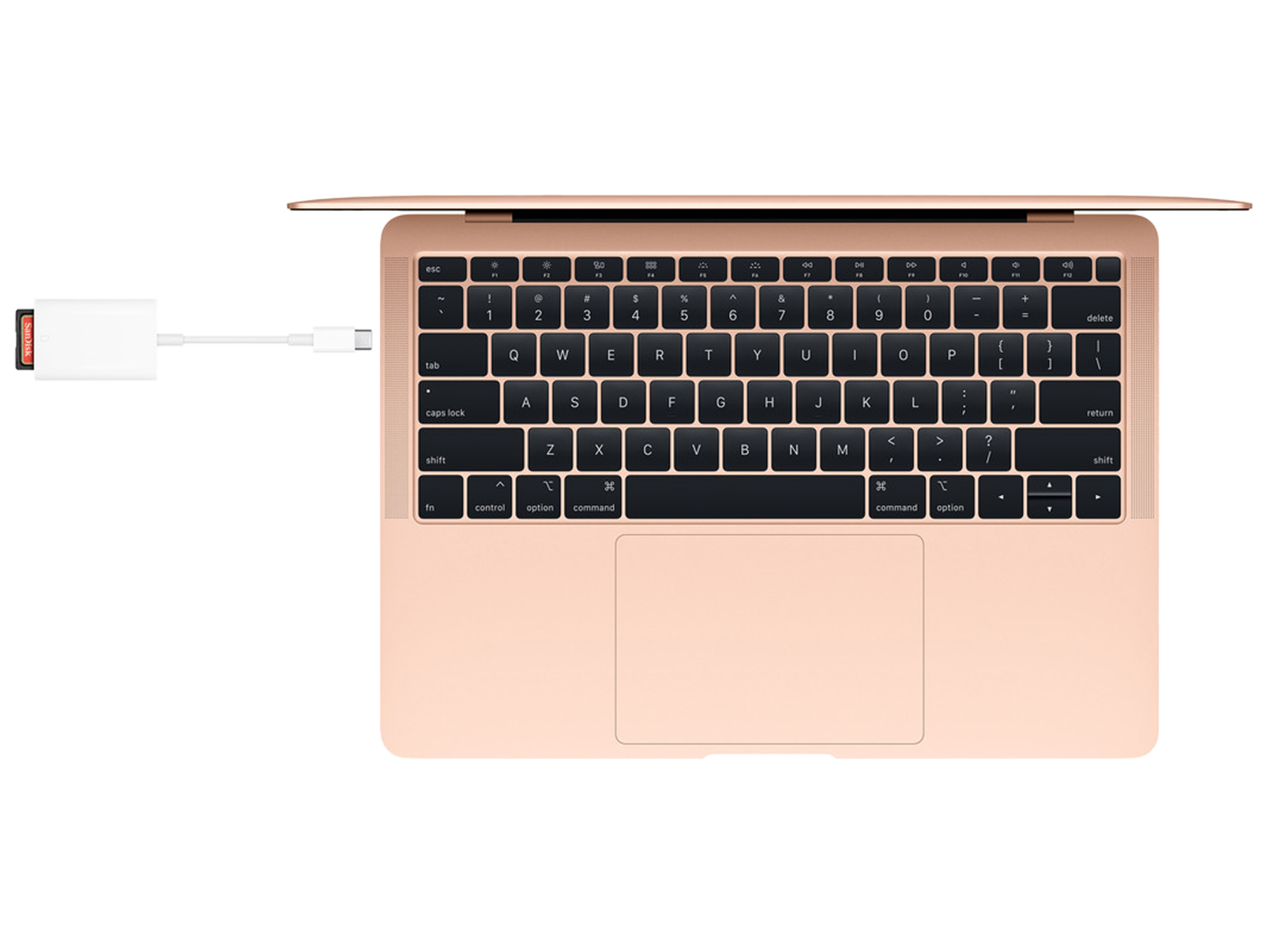 Apple USB-C to SD Card Reader Apple USB-C to SD Card Reader