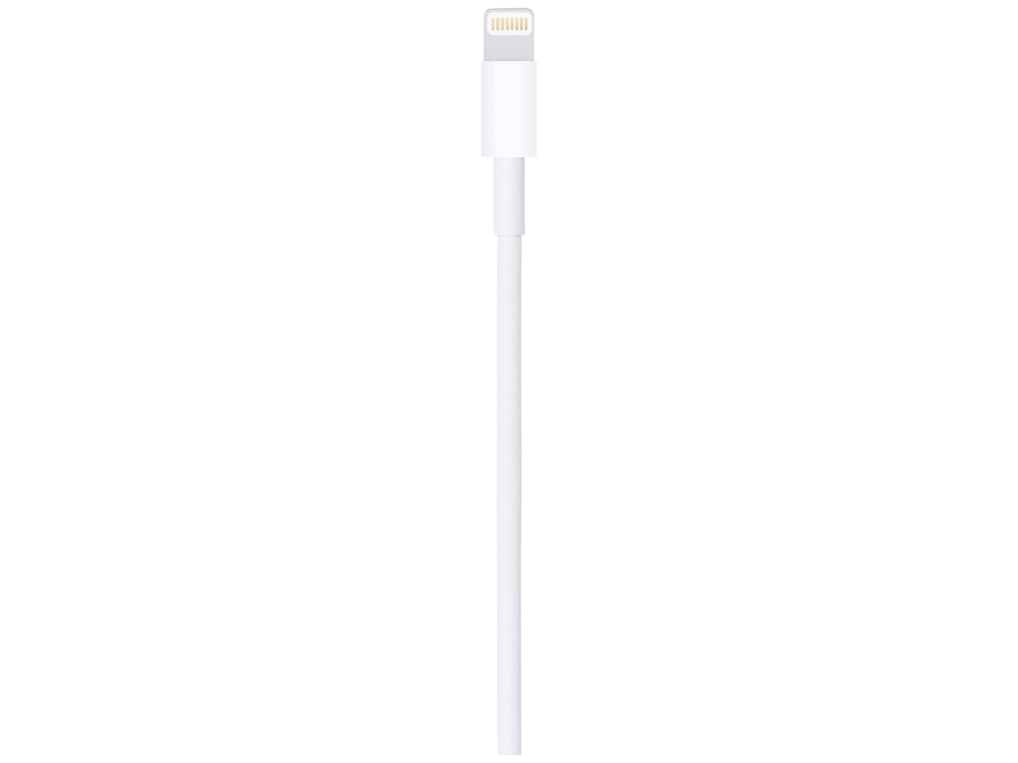 Apple Lightning to USB Cable (1 m) Apple Lightning to USB Cable (1 m)