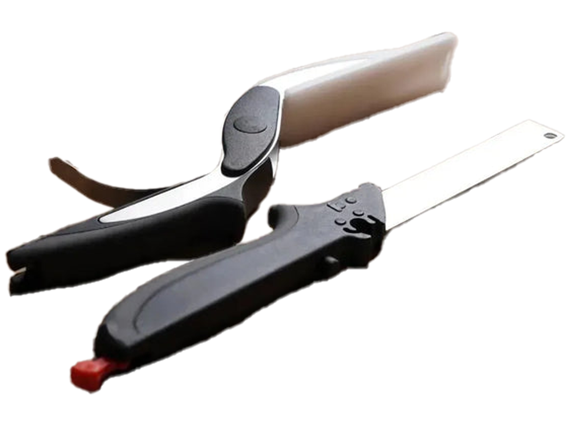 Chef's scissors - Best Prices