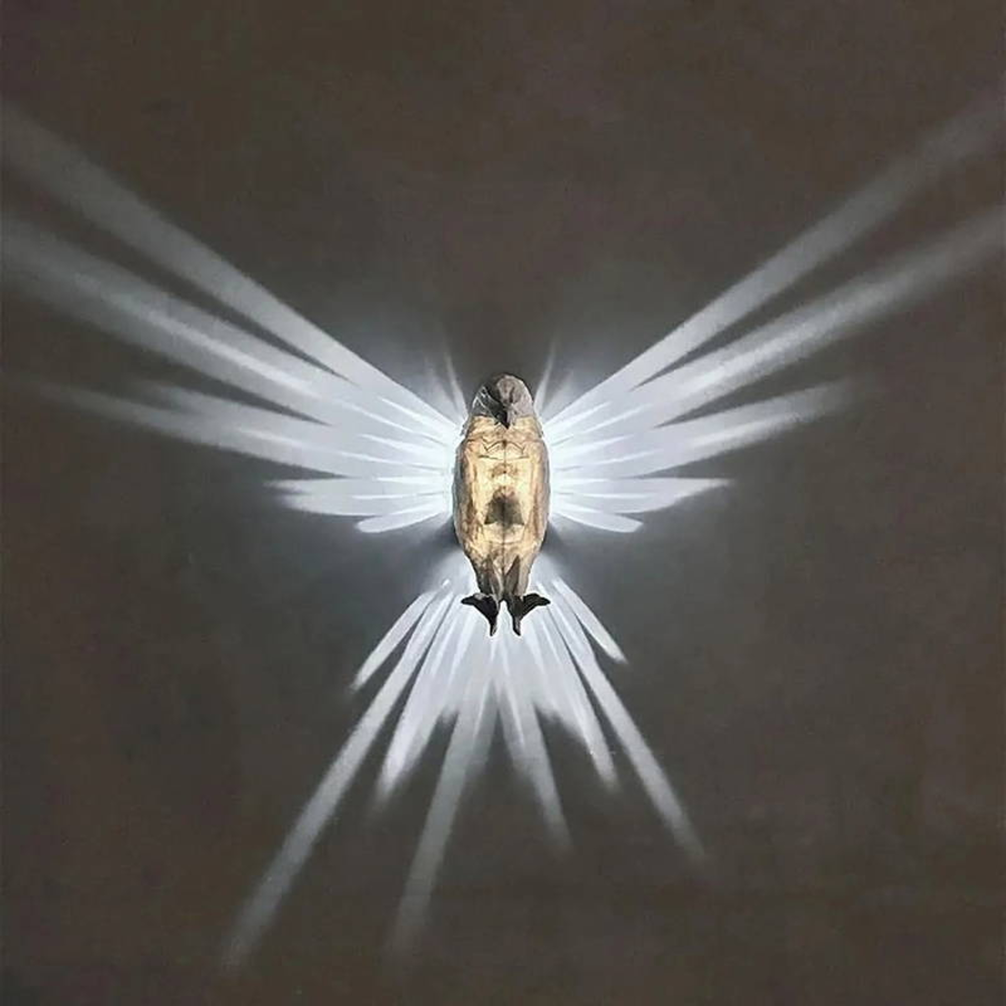 3D Eagle Wall Lamp - Best Prices