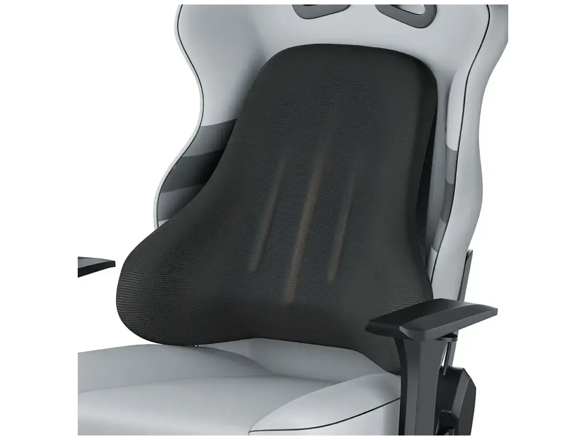 Green Lion Comfort Mate Seat Cushion - Best Prices
