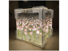Tulip Night Light - Pink