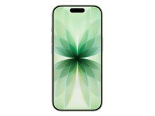 Apple iPhone 17 Japanese - Green