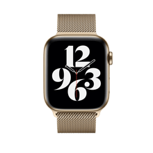WiWU Minalo Stainless Steel Watch Band 38/40mm - Gold