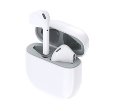 Choetech BH-T02 TWS Bluetooth 5.0 Wireless In-Ear Headphones - Best Prices