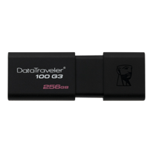 Kingston Data Traveler DT50 Flash Drive 256GB - Best Prices