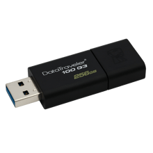 Kingston Data Traveler DT50 Flash Drive 256GB - Best Prices