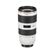 Canon EF 70-200mm f/2.8L IS III USM Lens - Best Prices