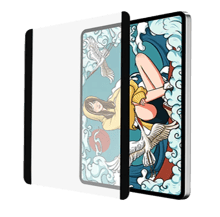 WiWU Removable Magnetic Screen Protector For iPad - Best Prices