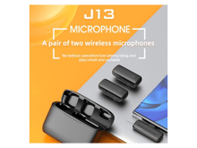 Green Lion 2 in 1 Lion Wireless Microphone with Type-C Connector - Best Prices