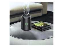 Green Lion Mini Bakhour 2 - Best Prices