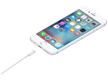 Apple Lightning to USB Cable (1 m) - Best Prices