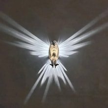 3D Eagle Wall Lamp - Best Prices