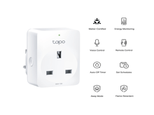 Tapo P110M  Mini Smart Wi-Fi Plug - Best Prices