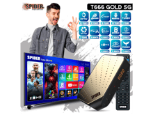 Spider T666 Gold 5G Receiver - Best Prices