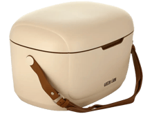 Green Lion Vintage Insulated Cooler Box - Best Prices