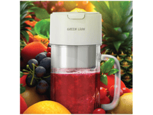 Green Lion Portable Blender Mug 2 - Best Prices
