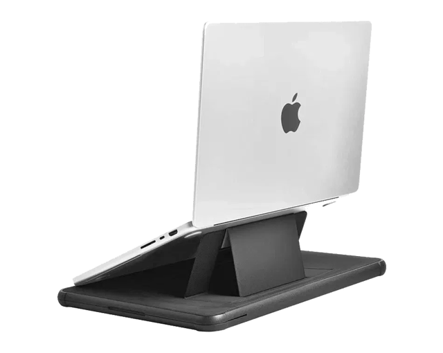 WiWU Defender Stand Case
