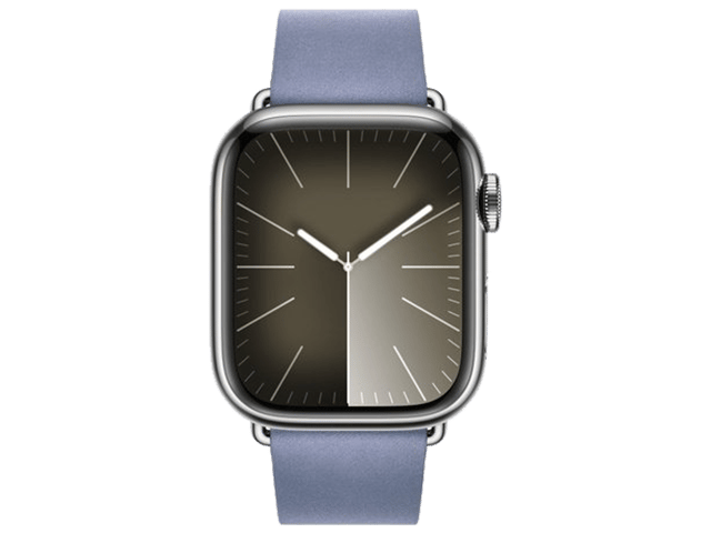 Apple 41mm Modern Buckle