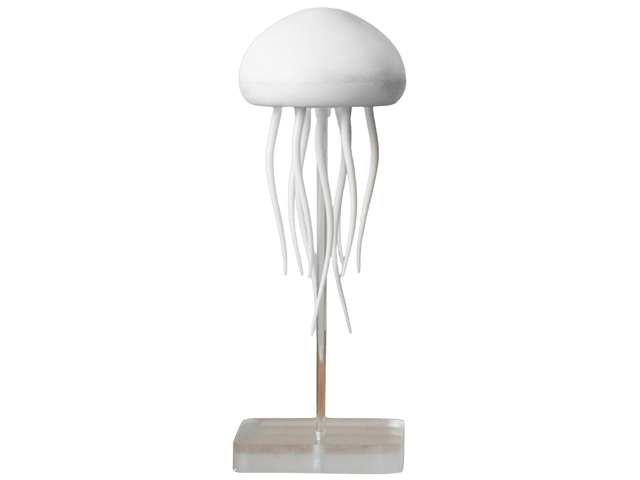 RGB Multicolor Jellyfish Light