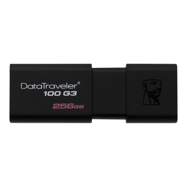 Kingston Data Traveler DT50 Flash Drive 256GB